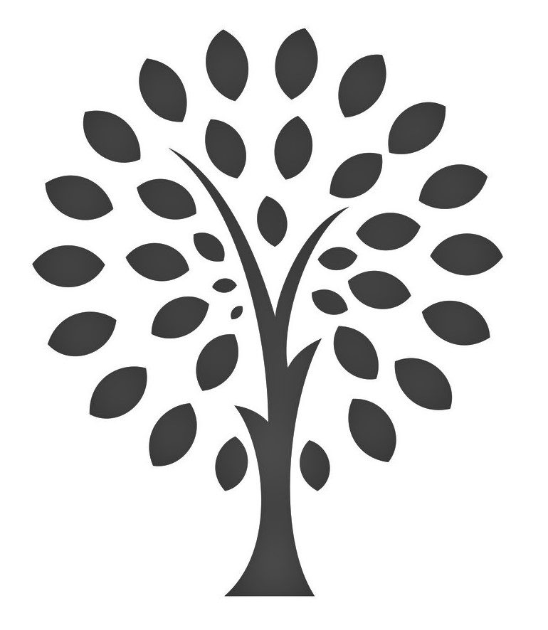 Mayer Family Association